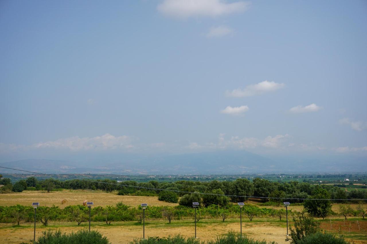 Agriturismo Casacchella Марина-ді-Сібарі Екстер'єр фото